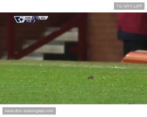 史梦瑶每天5点起床练枪，结果家里厕所贴满靶纸？